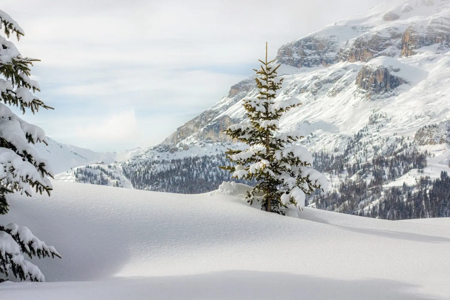 Da Caldo a Freddo in un Istante: che Clima Pazzo…