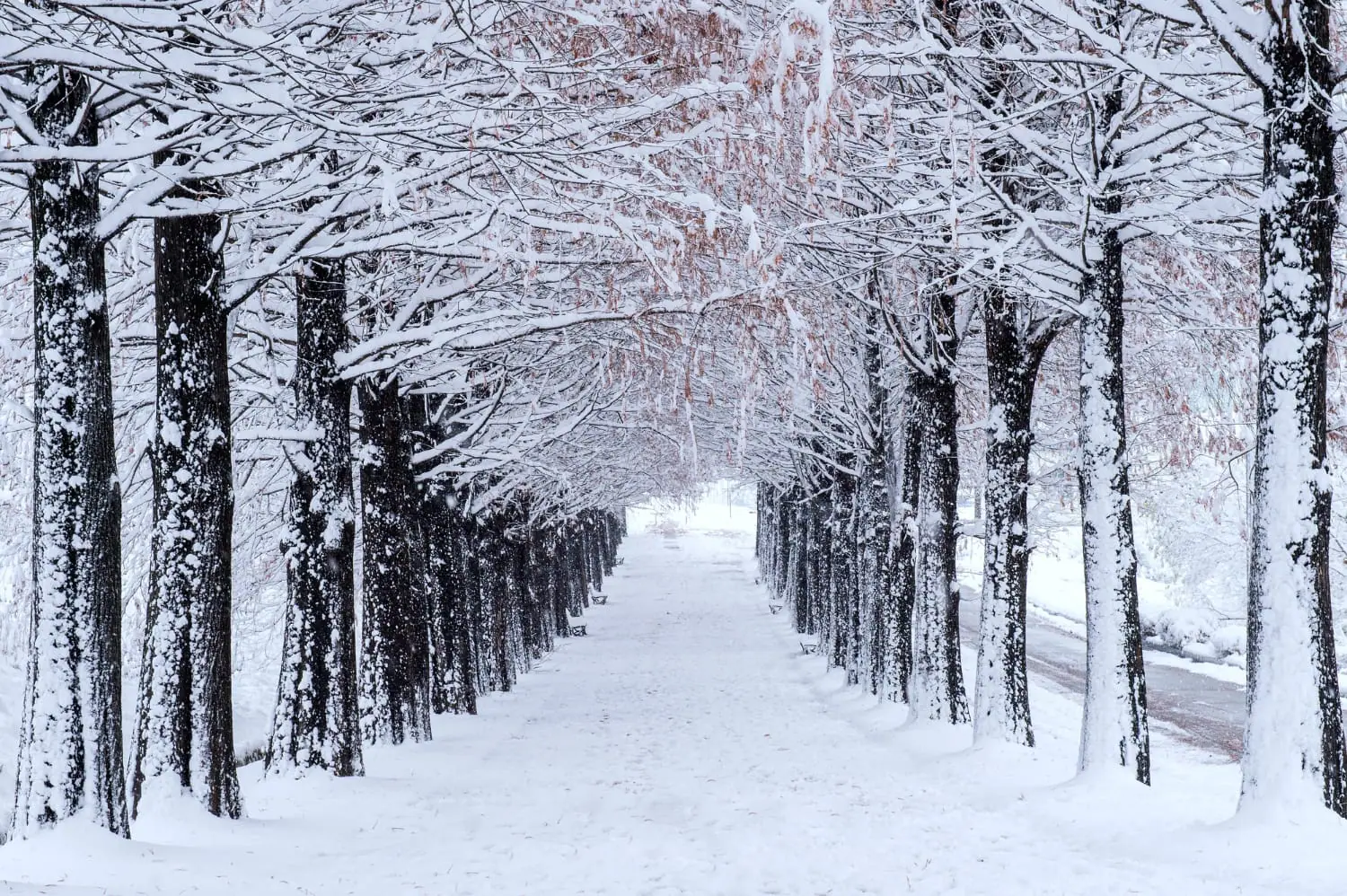 Inverno indiscutibile: il meteo non ammette repliche
