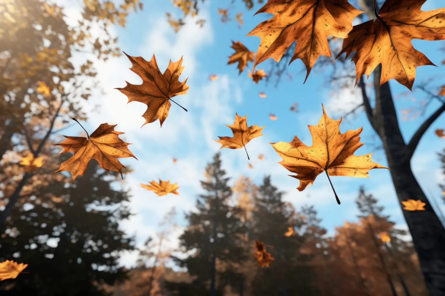 Il clima autunnale diventa imprevedibile