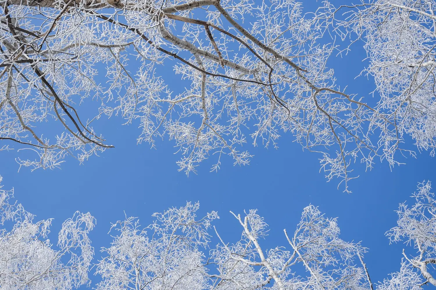 Previsioni Meteo: arriva la prima intensa ondata di freddo e neve