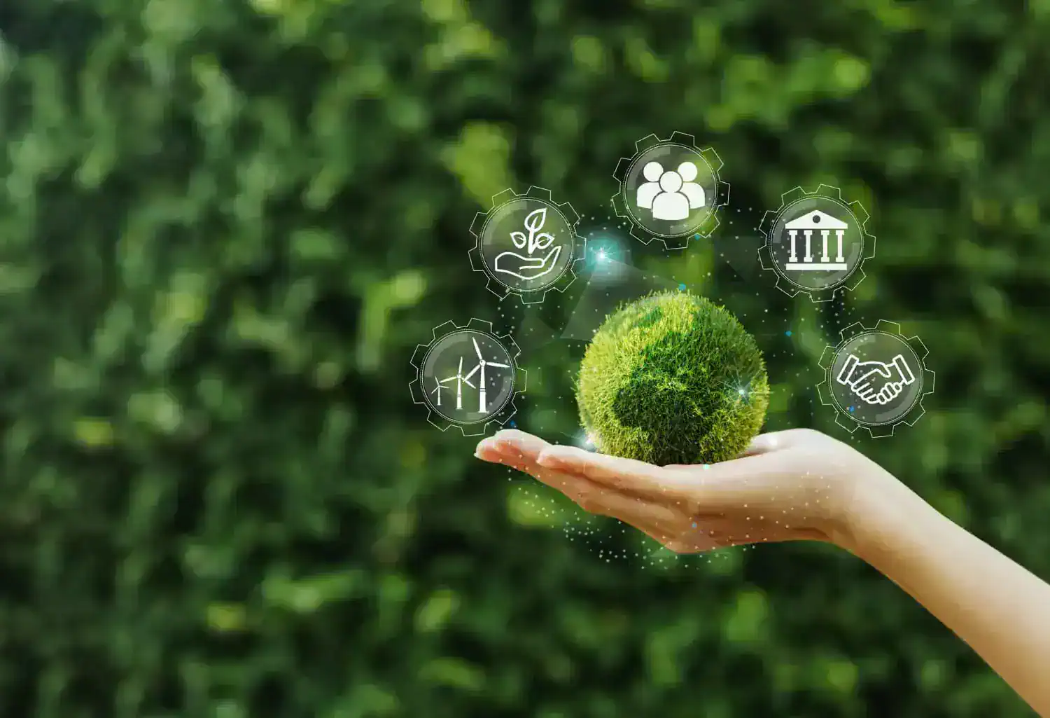 Paura per le conseguenze dirette del cambiamento climatico