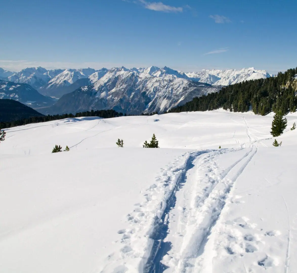 Previsioni Meteo: arriva il primo freddo artico-ecco quando