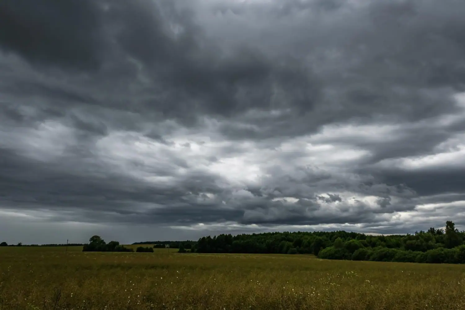 Allerta meteo per piogge e temporali: le regioni maggiormente interessate (Protezione Civile)