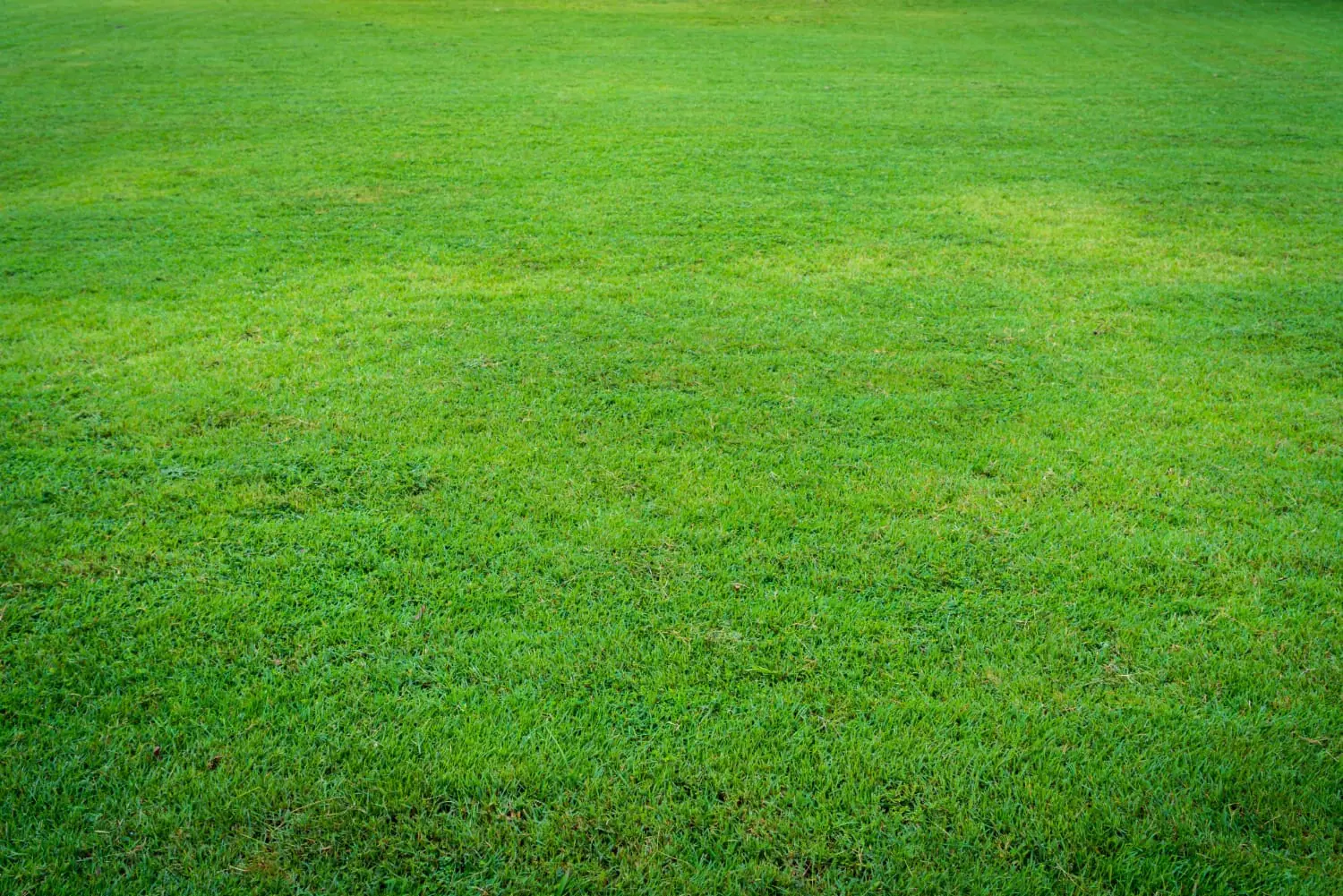 Impatto ⁢ambientale dei fertilizzanti per prato: consapevolezza e soluzioni