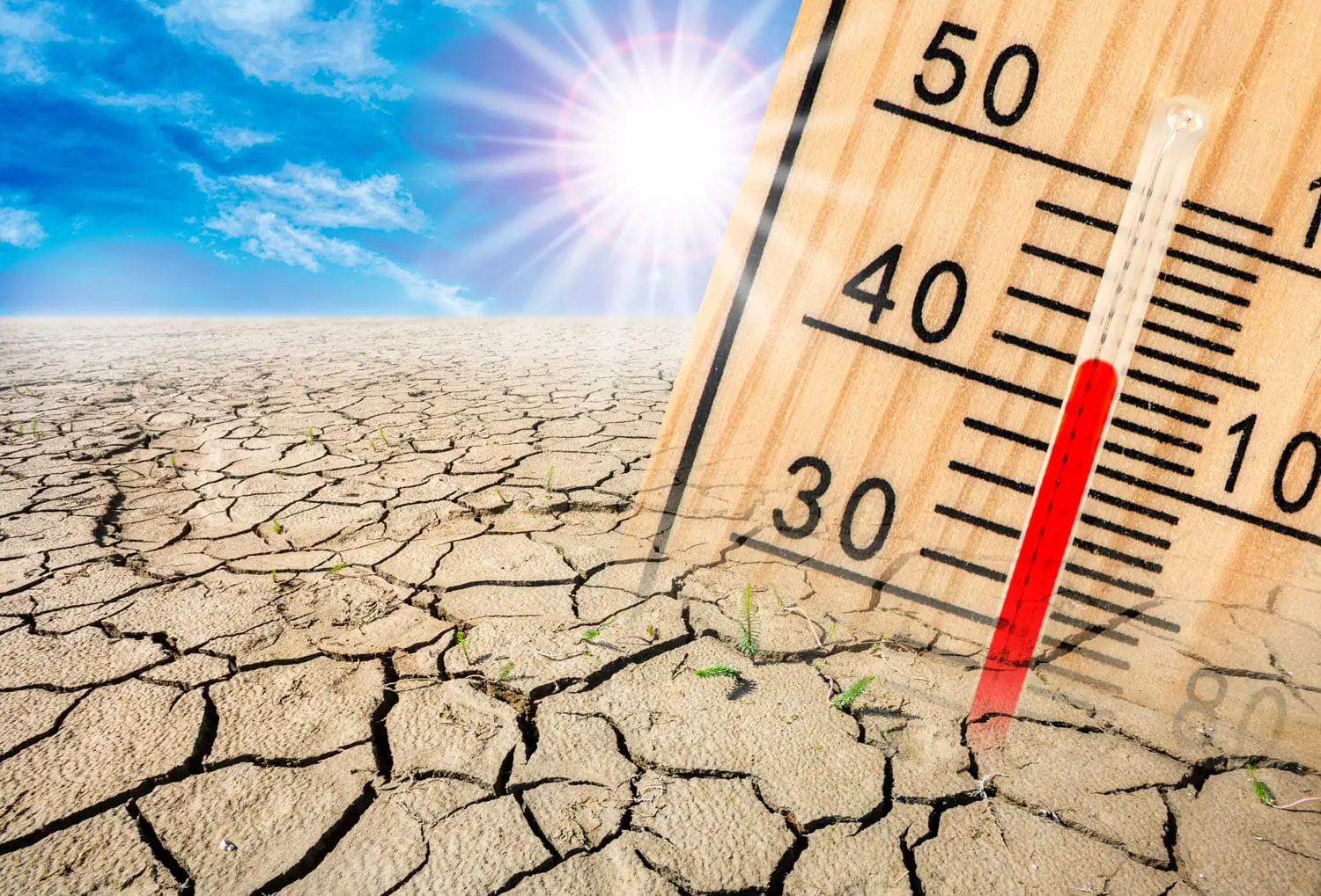 L'urlo del Pianeta: la Svolta Imminente nell'Emergenza Climatica