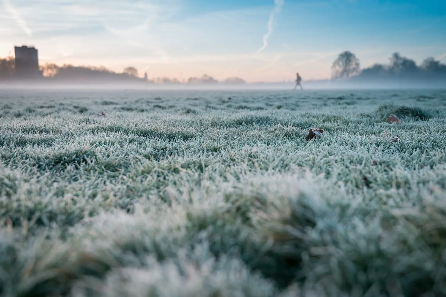 Data della svolta meteo: il freddo arriverà a metà novembre