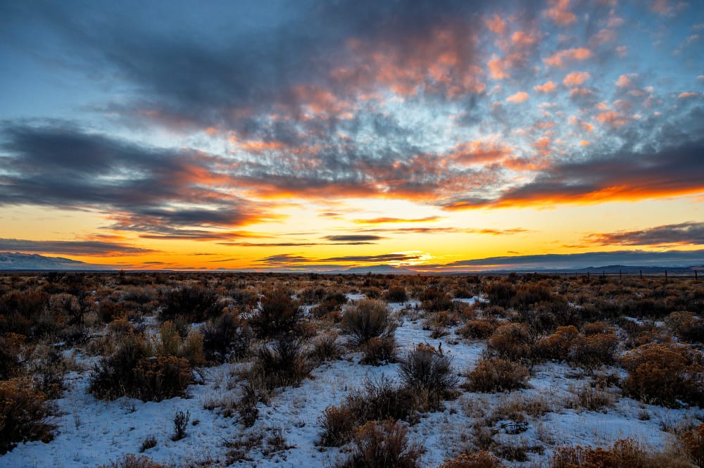 Il fenomeno El Niño e ⁢il ‌suo impatto in Nord America