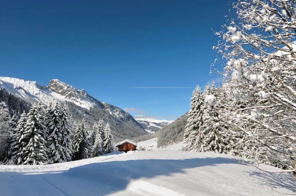 Maltempo in Trentino: piogge abbondanti e neve in arrivo