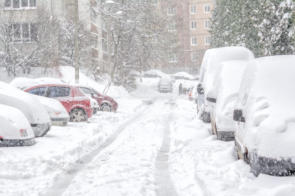 Meteo Dicembre mitissimo prima del "grande gelo" inimmaginabile in quel 1954
