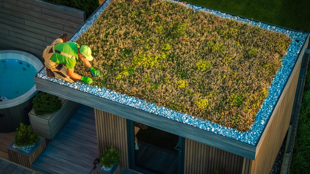 Un Tetto Verde per Combattere il Cambiamento Climatico