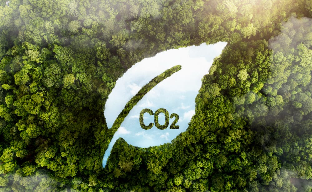 Aumentare il calore: l’impatto potenziato della CO2 dal cambiamento climatico