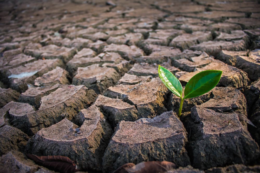 Progressi sul cambiamento climatico lenti ma reali