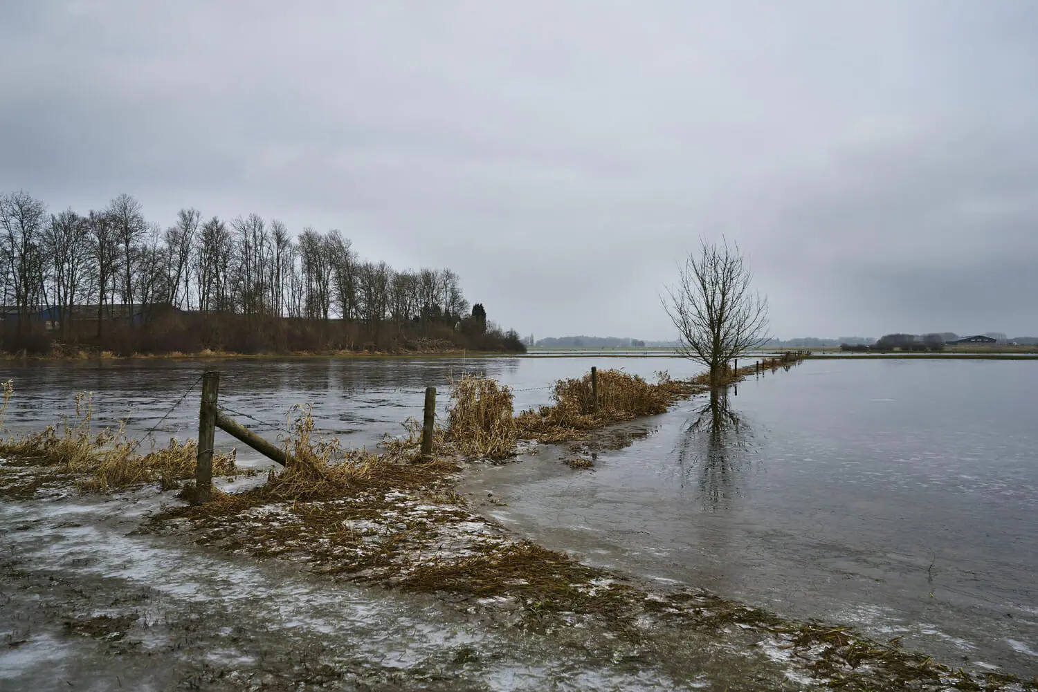 Imminenti piogge intense-ma gli agricoltori temono che piova tanto in poco tempo